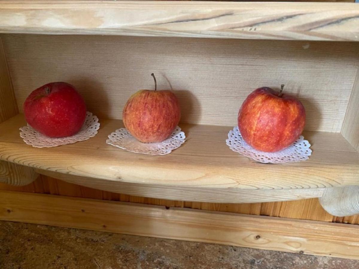 Alpenappartements Schwalbennestl Mittenwald Luaran gambar